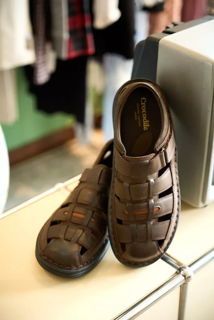 crocodile-392603-ff1sv-33-4-69b6e5f721f34
